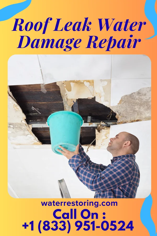 Roof Leak Water Damage Repair in Red Rock, OK